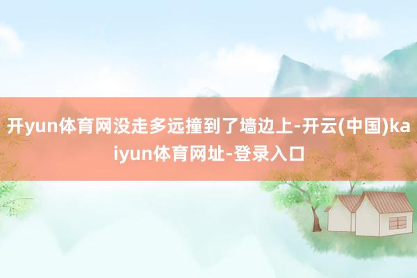 开yun体育网没走多远撞到了墙边上-开云(中国)kaiyun体育网址-登录入口