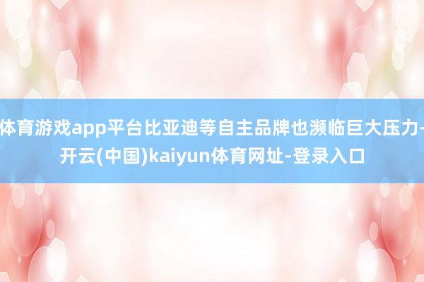 体育游戏app平台比亚迪等自主品牌也濒临巨大压力-开云(中国)kaiyun体育网址-登录入口