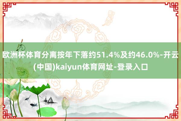 欧洲杯体育分离按年下落约51.4%及约46.0%-开云(中国)kaiyun体育网址-登录入口